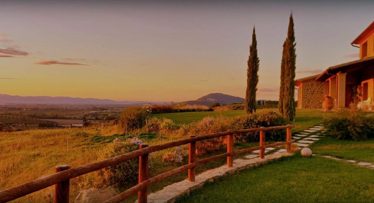 Agriturismo La Fonte 格罗塞托 外观 照片