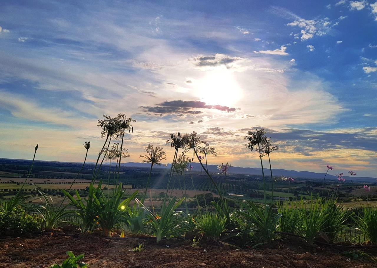 Agriturismo La Fonte 格罗塞托 外观 照片